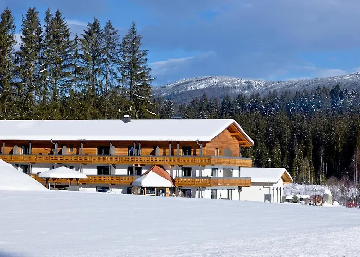 Hotel Moorhof Neuschönau