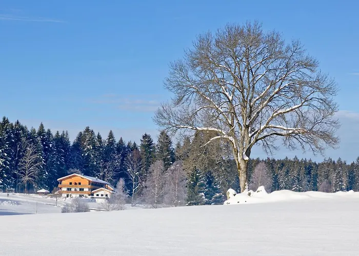 Moorhof 3* Neuschönau