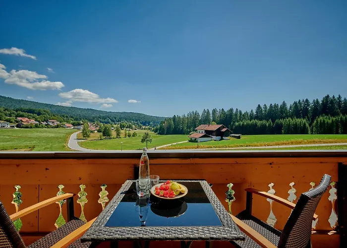 Отель Moorhof 3*